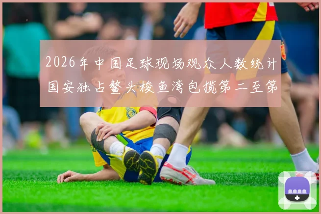 2026年中国足球现场观众人数统计国安独占鳌头梭鱼湾包揽第二至第七位