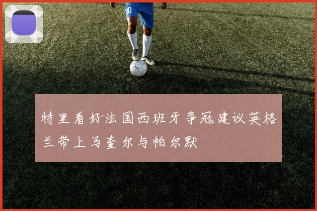 特里看好法国西班牙争冠建议英格兰带上马奎尔与帕尔默