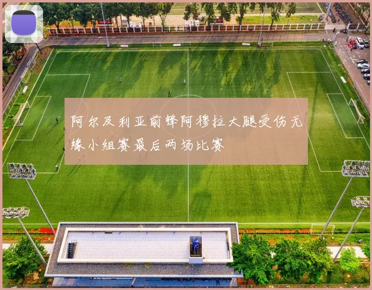 阿尔及利亚前锋阿穆拉大腿受伤无缘小组赛最后两场比赛