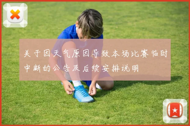 关于因天气原因导致本场比赛临时中断的公告及后续安排说明