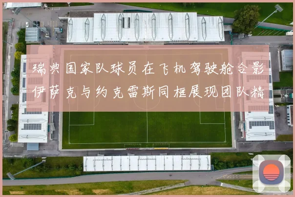 瑞典国家队球员在飞机驾驶舱合影伊萨克与约克雷斯同框展现团队精神