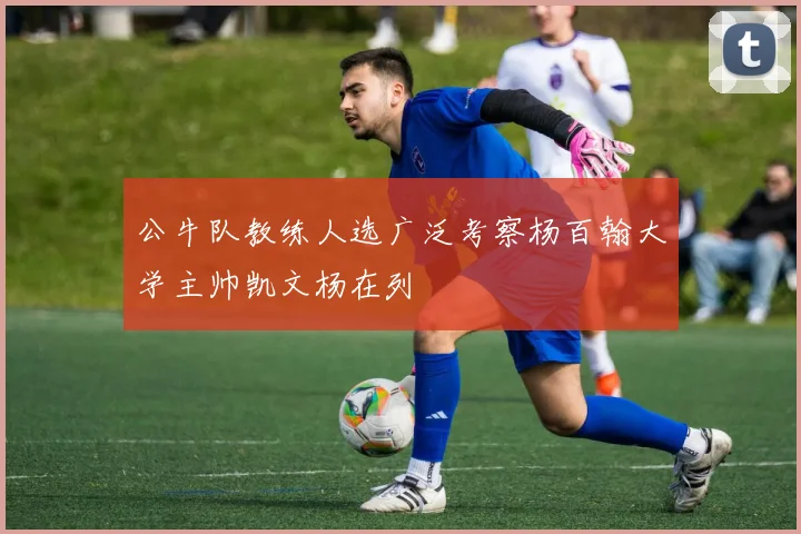 公牛队教练人选广泛考察杨百翰大学主帅凯文杨在列